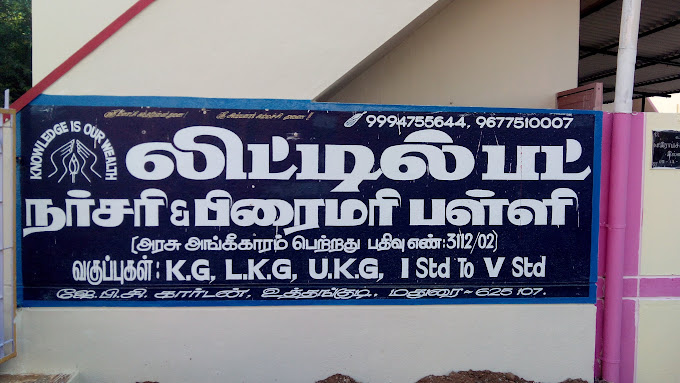 Little Bud Nursery And Primary School